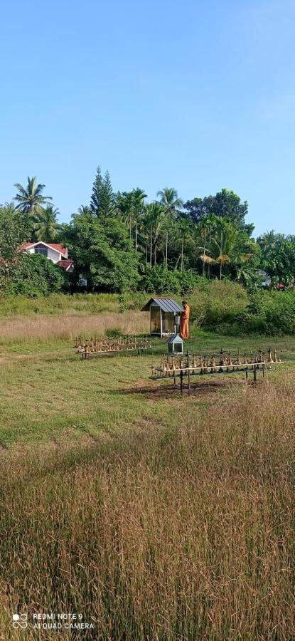 Narayanalayam-Vintage Retreat-Homestay & Rest'Inn Kannur Exterior foto