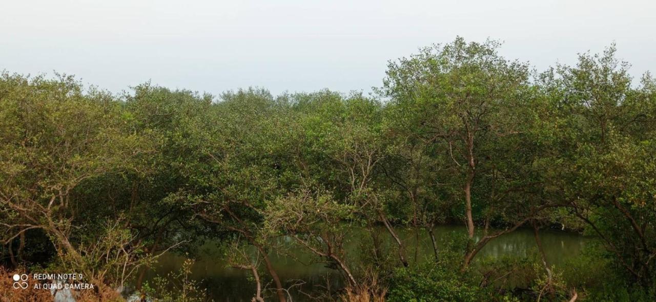 Narayanalayam-Vintage Retreat-Homestay & Rest'Inn Kannur Exterior foto