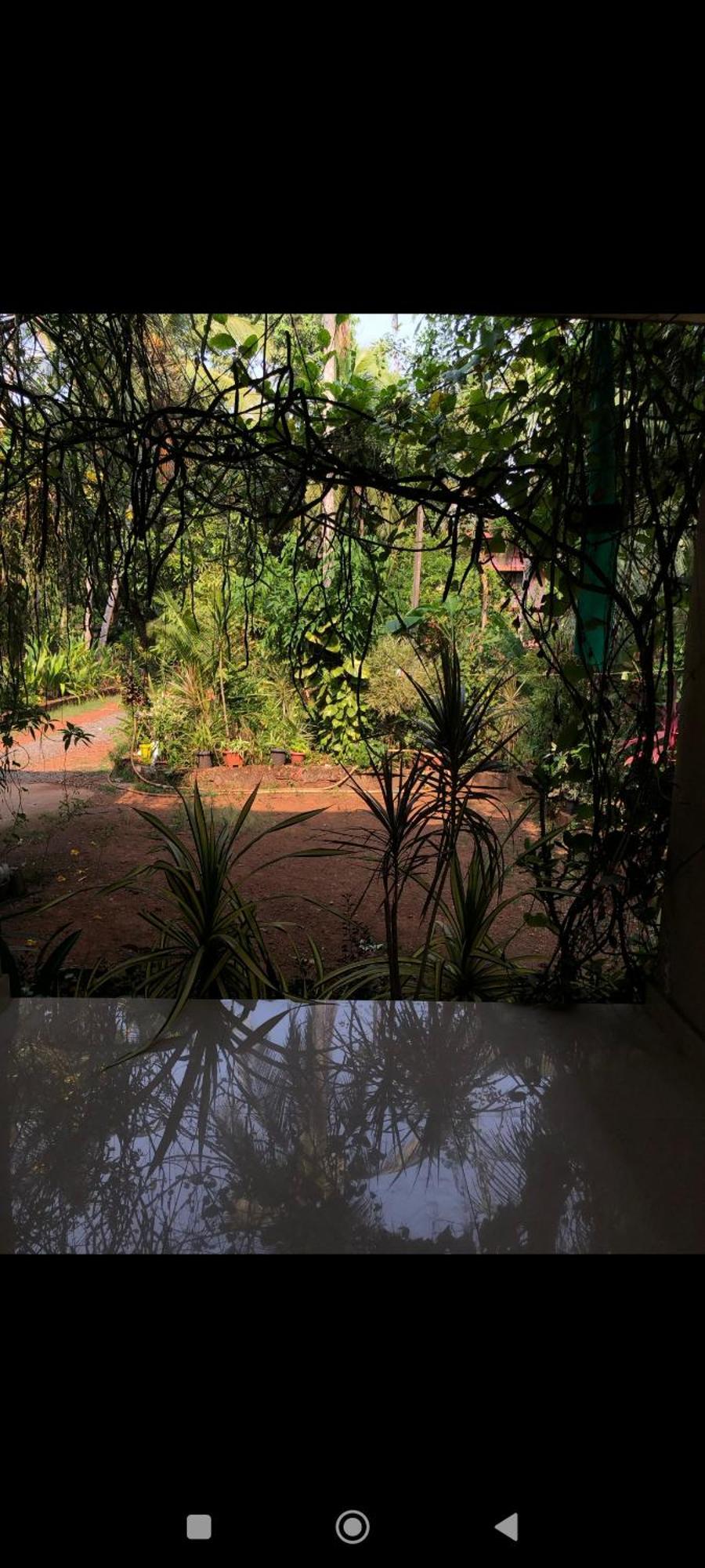 Narayanalayam-Vintage Retreat-Homestay & Rest'Inn Kannur Exterior foto